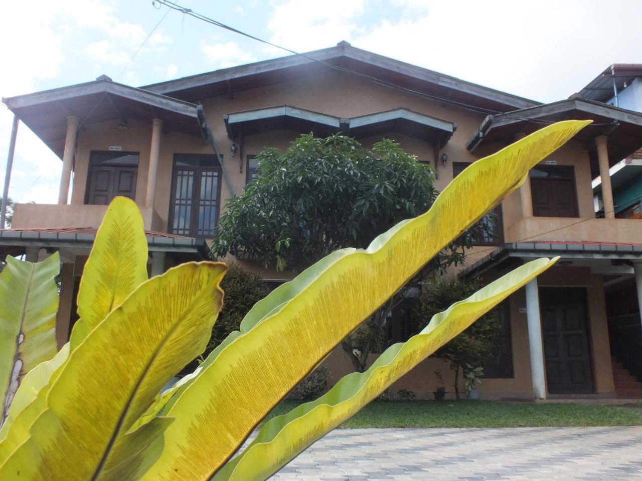 Hillsview Rest & Guest House 马特莱 外观 照片