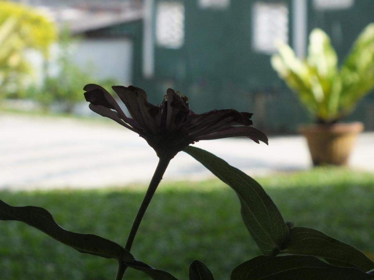 Hillsview Rest & Guest House 马特莱 外观 照片